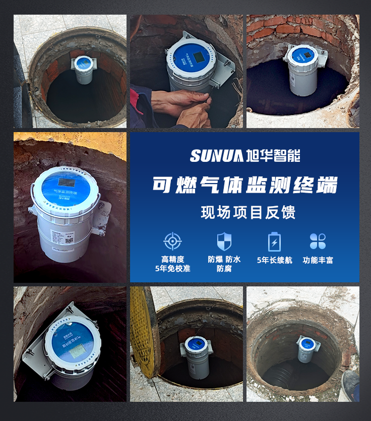 K8凯发(中国)智能-可燃气体监测仪